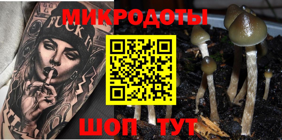 Елабуга  Псилоцибиновые грибы прущие грибы  Вход с VPN 