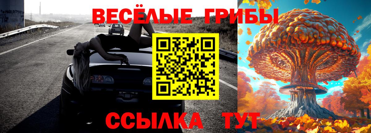 Галлюциногенные грибы GOLDEN TEACHER Елабуга